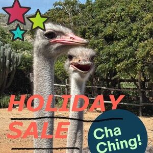 holiday sale!!!!